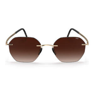 Silhouette 8748 7520