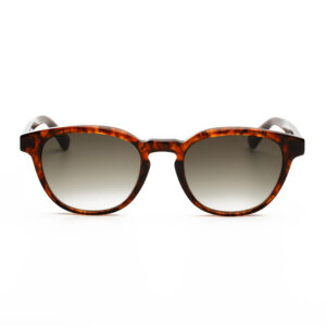 Belle Frog Andy Soup