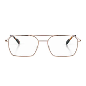 Eyerepublic 41 twice rich