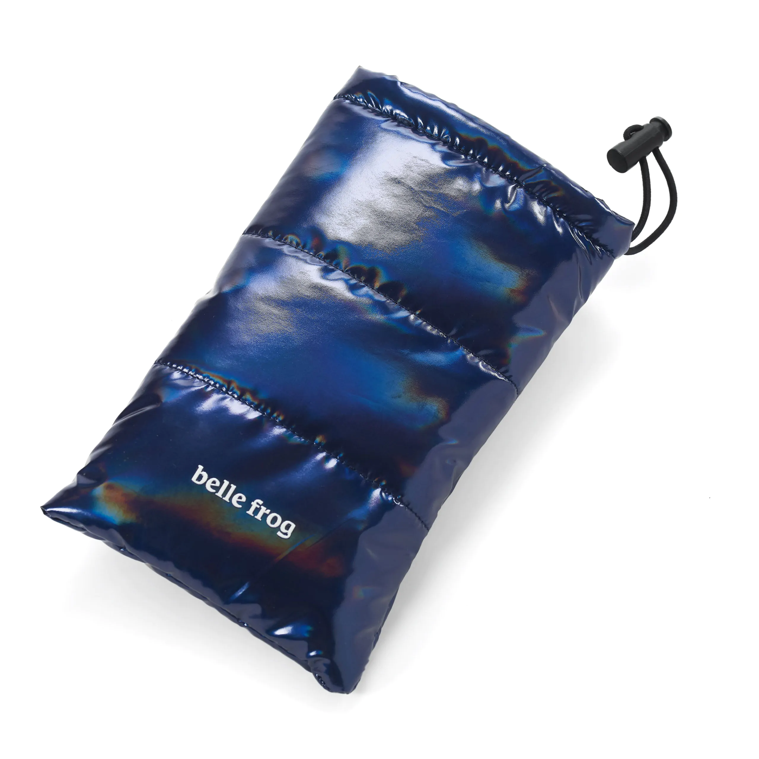 Belle Frog Antarctic Ocean Mirror