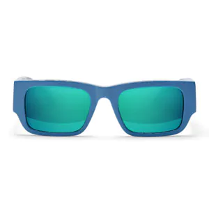 Belle Frog Antarctic Ocean Mirror