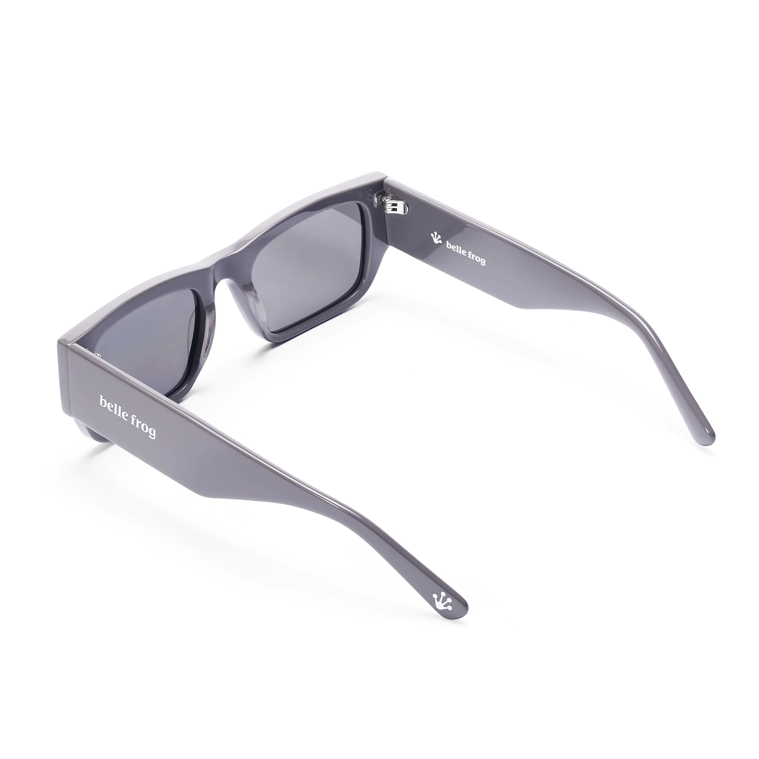 Belle Frog Antarctic Ground