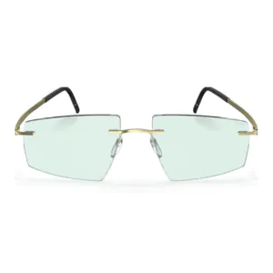 Silhouette 8747 8540